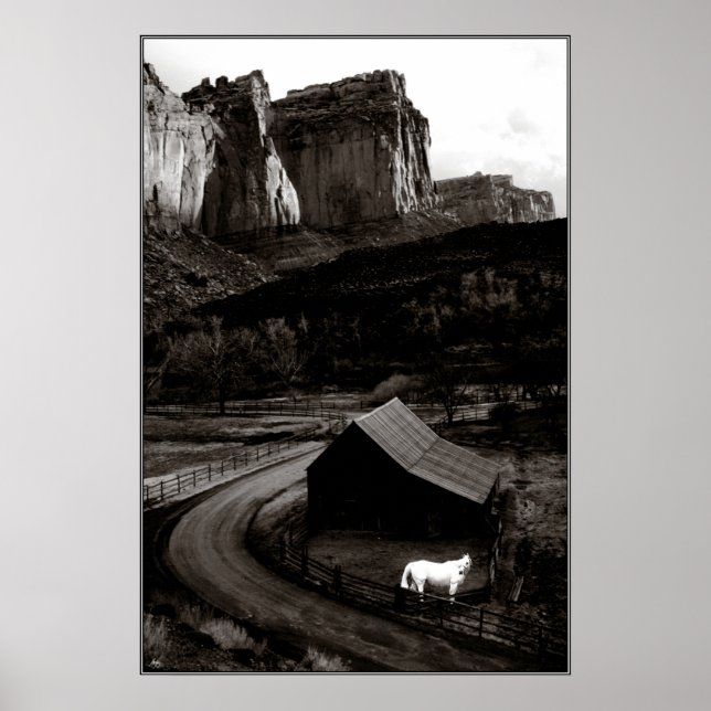 Cavalo Branco Monocromo em Canyonlands Poster (Frente)