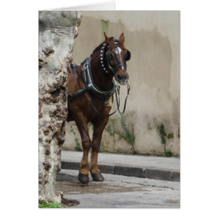 Cavalo Castanho, Cartão de Saudação Dentro Vazio