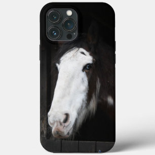 Cavalo castanho na Fazenda