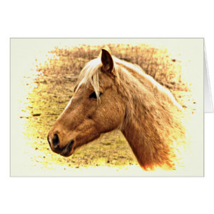 Cavalo castanho no Cartão de Vazio Solar