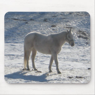 Cavalo cinzento Mousepad