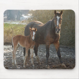 Cavalo com mousepad do potro