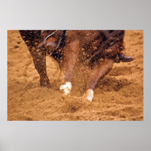 Cavalo cortante deslizando na Poster de saia