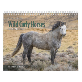 Cavalo Curly Selvagem do Calendário de Salt Wells 
