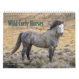 Cavalo Curly Selvagem do Calendário de Salt Wells