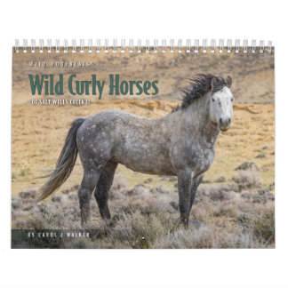 Cavalo Curly Selvagem do Calendário de Salt Wells 