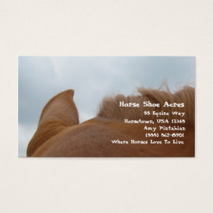 Cavalo da azeda dos acres dos calçados do cavalo