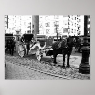 Cavalo de NYC e poster branco preto da foto da