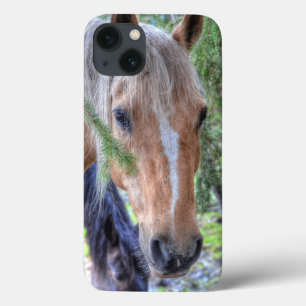 Cavalo de Pintura do Palomino e Sucursais para ama