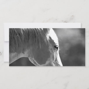 Cavalo de Pop de Arte Preto e Branco