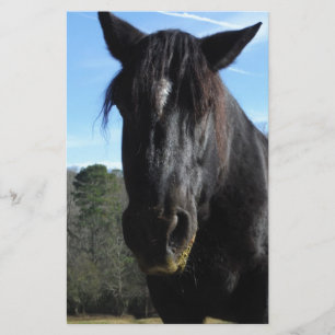 Cavalo de Rascunho Negro Resgatado