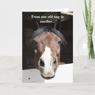 Cavalo do celeiro, nag velho, cartão do feliz