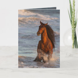 Cavalo do Oceano no Cartão de Saudação de Cavalo S