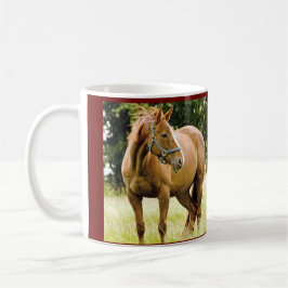 Cavalo (égua) na caneca do campo