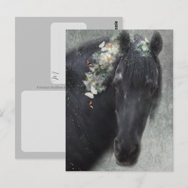 Cavalo Frísio - Cartão Postal (Frente/Verso)