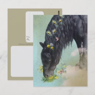 Cavalo Frísio - Cartão Postal