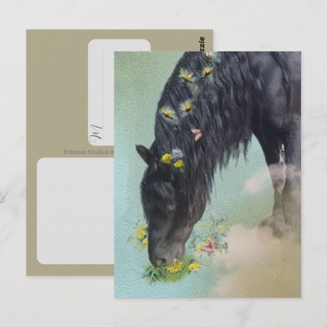 Cavalo Frísio - Cartão Postal (Frente/Verso)