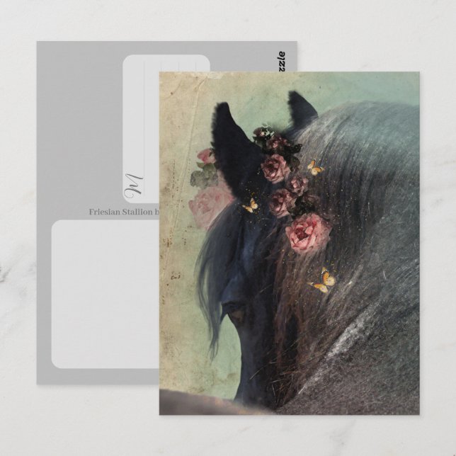 Cavalo Frísio - Cartão Postal (Frente/Verso)