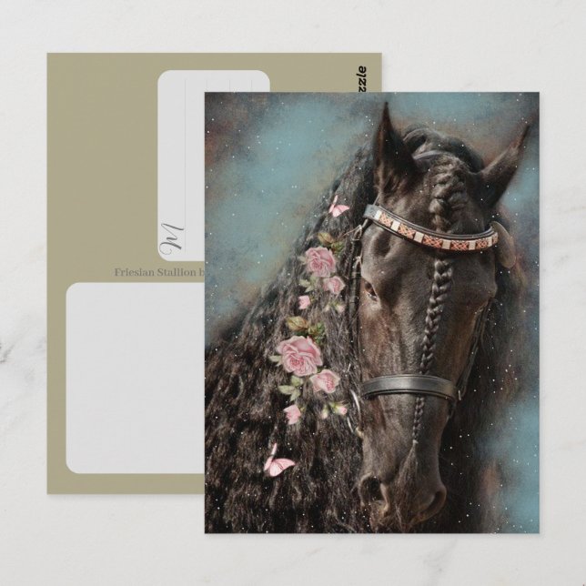 Cavalo Frísio - Cartão Postal (Frente/Verso)