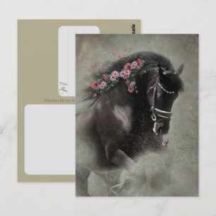 Cavalo Frísio - Cartão Postal