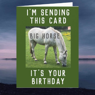 Cavalo Grande É Seu Cartão De Aniversário