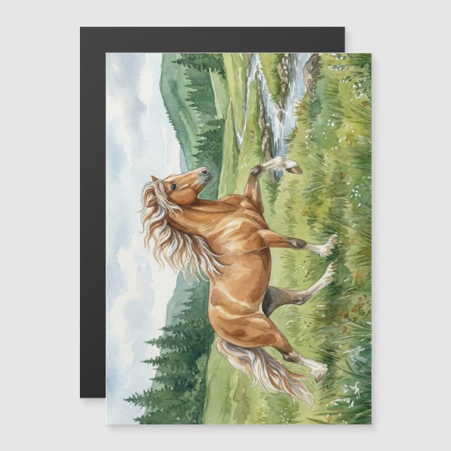 Cavalo Islandês Elska Aquarela (Frente/Verso)