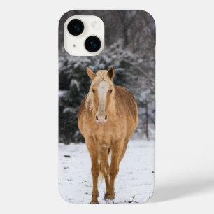 Cavalo Loiro Caminha Na capas de iphone Da Neve