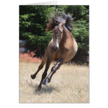Cavalo Lusitano em Liberdade Cartão em Branco