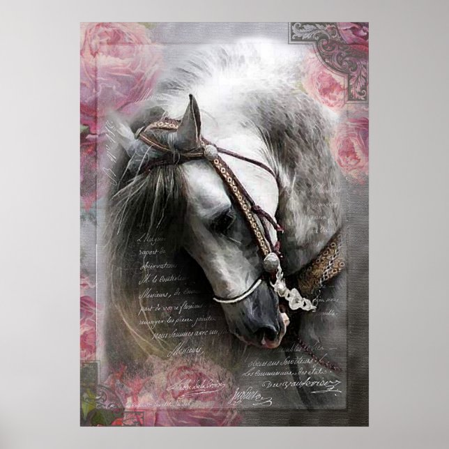 Cavalo Lusitano - Poster (Frente)