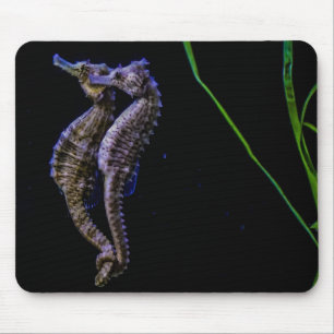 Cavalo marinho Mousepad