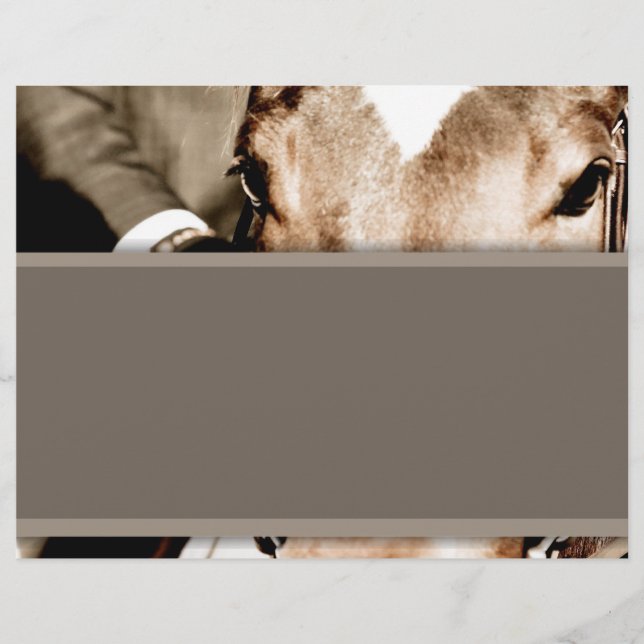 Cavalo Marrom e Branco (Frente)