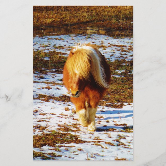 Cavalo marrom e minúsculo creme na neve. (Frente)
