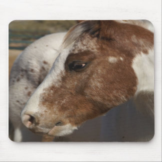 Cavalo Mousepad