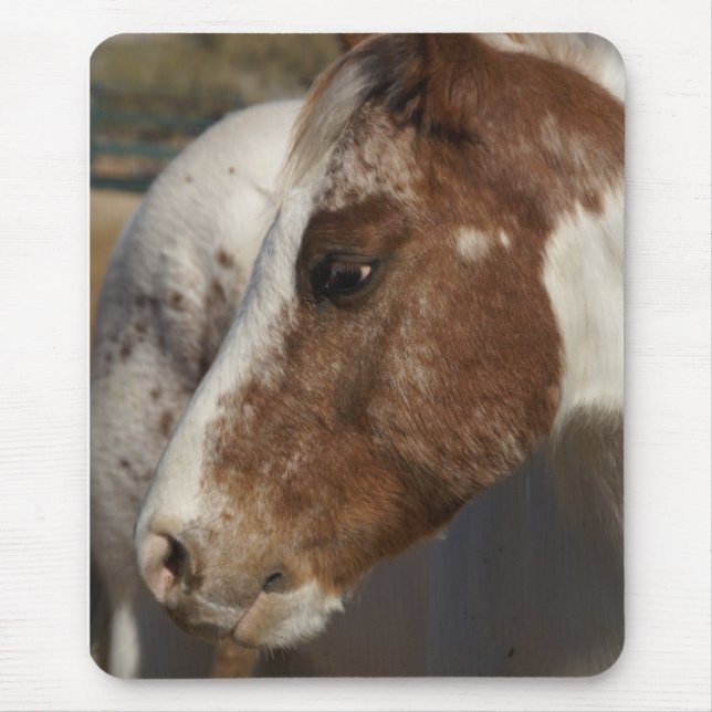 Cavalo Mousepad (Frente)