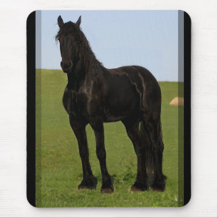 Cavalo Mousepad #9 do frisão