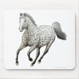 Cavalo Mousepad do Appaloosa do leopardo