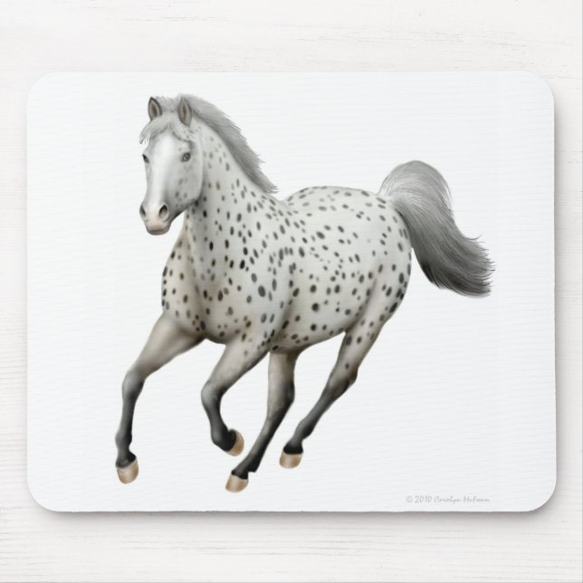 Cavalo Mousepad do Appaloosa do leopardo (Frente)