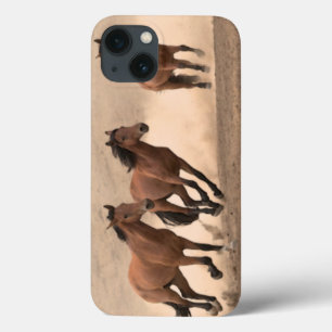Cavalo na queda II