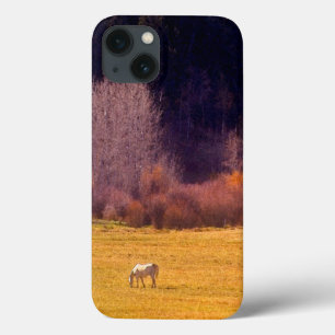 Cavalo na queda mim