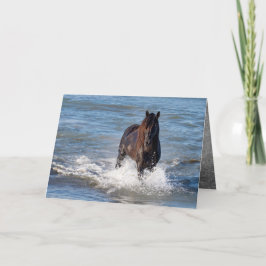 Cavalo Negro Funciona no Cartão de Saudação de Águ