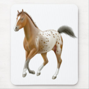 Cavalo novo Mousepad do Appaloosa
