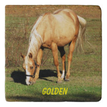 Cavalo Palomino Majestoso - Fotografia de Belas Ar