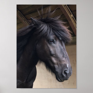 Cavalo Pequeno Viking - Poster Nobre