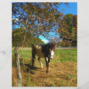 Cavalo Pintado,