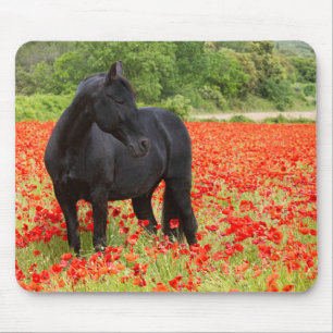 Cavalo Preto e Papoulas Mouse Pad