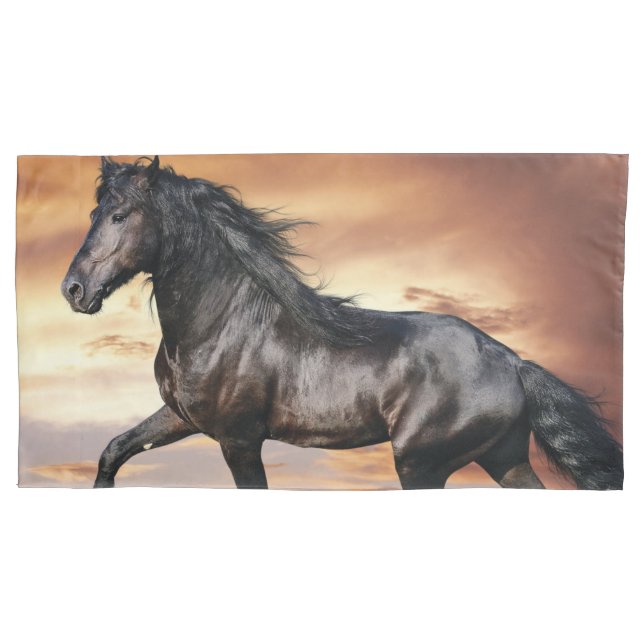 Cavalo Preto Lindo (Frente)