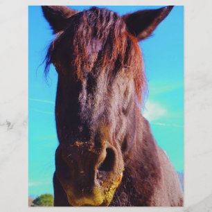 Cavalo Roxo com Boca Verde