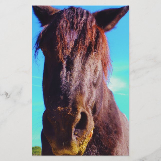 Cavalo Roxo com Boca Verde (Frente)