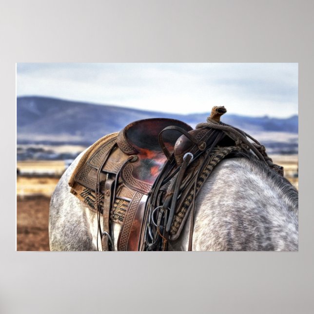 Cavalo Stallion Saddle Foto Nature Wall Poster (Frente)