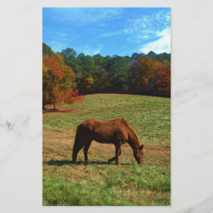Cavalo vermelho castanho, árvores de queda, céus a
